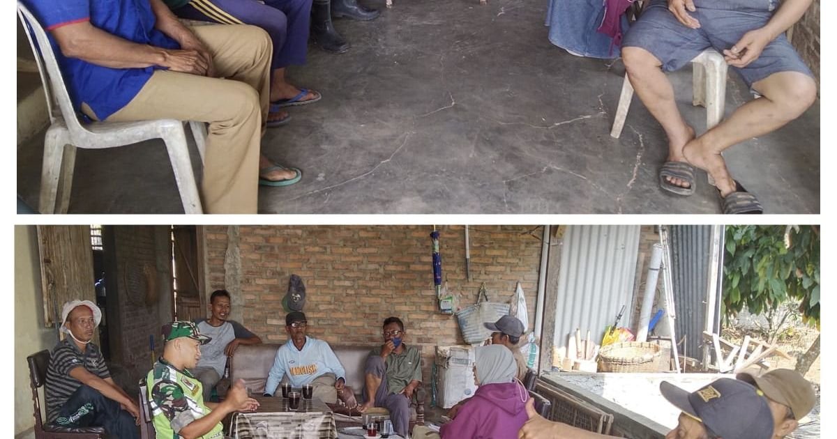 Sinergitas Babinsa bersama PPL dan Kelompok Tani dalam Penanggulangan Hama Wereng