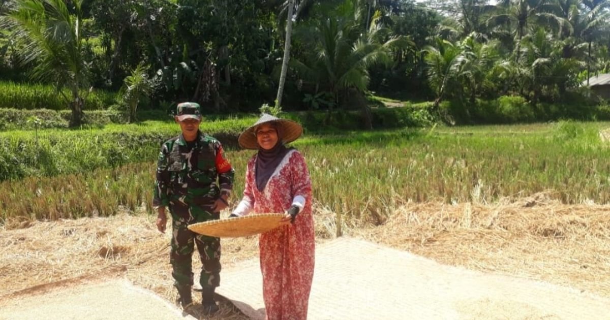 Babinsa Koramil 2211/Sagaranten Dampingi Kegiatan Ketahanan Pangan di Desa Banjarsari