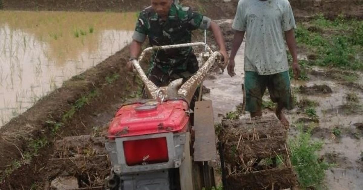 Babinsa Koramil 2207/Jampangtengah Laksanakan Pendampingan Ketahanan Pangan Bersama Poktan di Desa Panumbangan