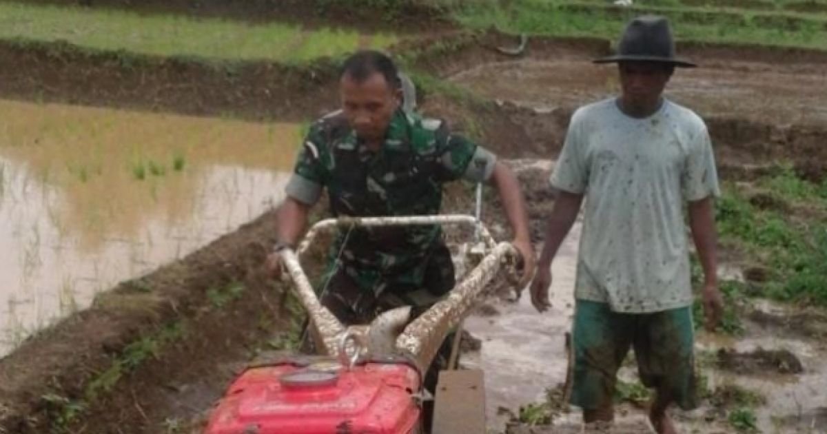 Babinsa Koramil 2207/Jampangtengah Laksanakan Pendampingan Ketahanan Pangan Bersama Poktan di Desa Panumbangan