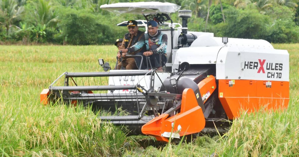 Gerakan Panen Padi, Bupati Tegaskan Kec Ciemas Salah Satu Penopang Swasembada Pangan Di Sukabumi