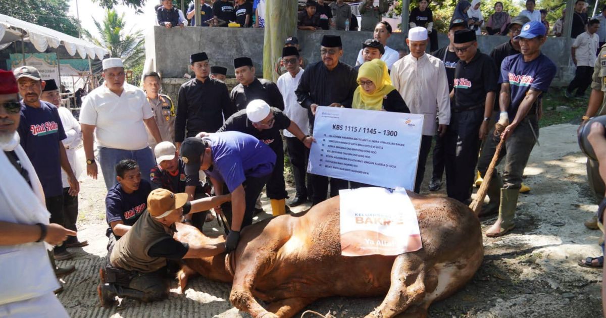 Pemkab Sukabumi Bagikan Daging Sapi Kurban Dari Laznas Bakrie Amanah Kepada Masyaraiat