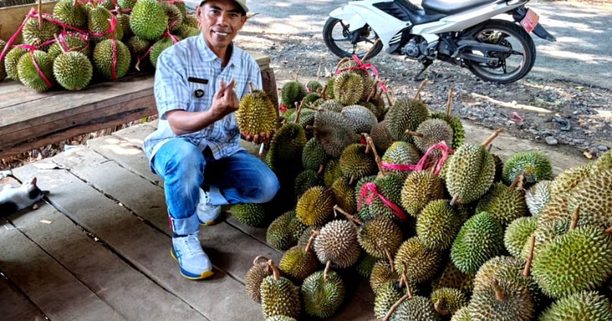Durian Unggulan dan Wisata  Alam Jadi Andalan Desa Sukamaju Kecamatan Cikakak